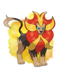 gallery-photo-12506325