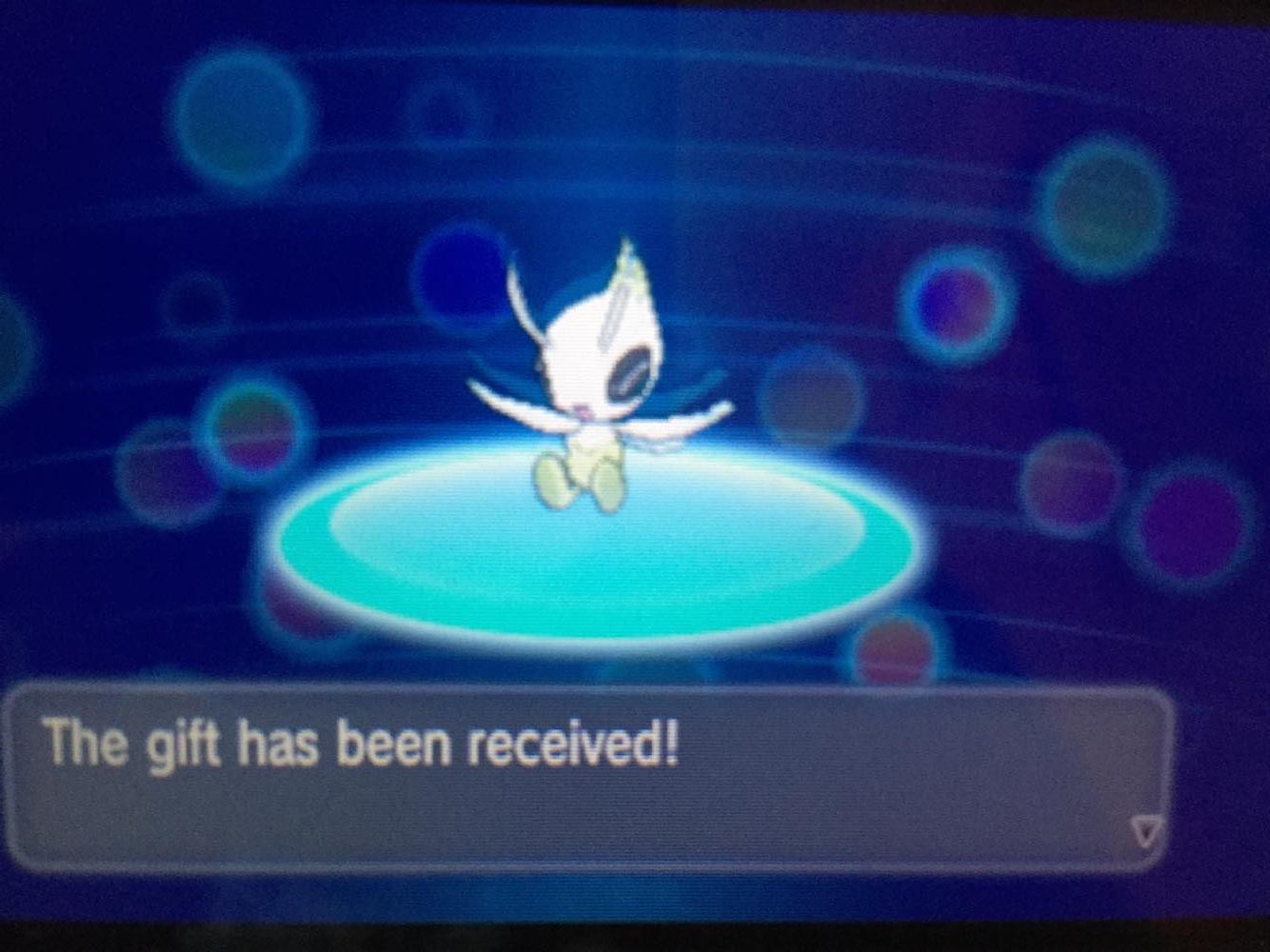 12776880_1144164345607310_1997458803_o