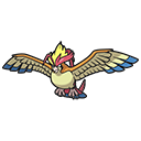 Mega-pidgeot