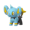 Shinx