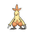 Pokémon GO Combusken