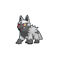 Pokémon GO Poochyena