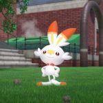 Scorbunny zwiastun